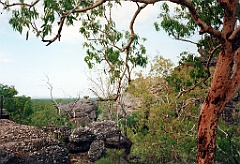 2000 - Australie 260G